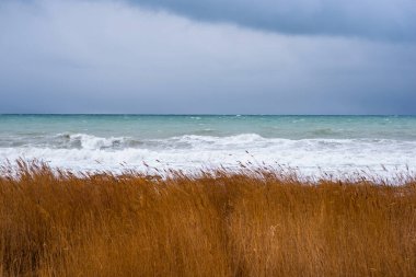 Sonbahar deniz manzarası. Kıyıdaki kuru sarı sazlıklar. Karanlık ve dramatik fırtına bulutları. Tonu ayarlanmış resim.