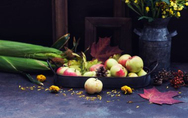 Sonbahar, sonbahar yaprakları, çiçekler, elmalar. Ahşap kırsal arka planda sonbahar çiftliği hasadı. Tonu ayarlanmış resim