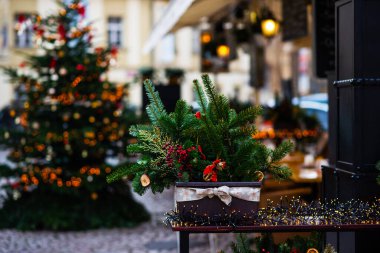 Süslü Noel ağacı, bulanık arka plan. Çam ağacının dallarında asılı Noel süsleme topları ve fotokopi alanının soyut arka planına sahip süsler..