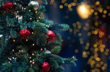 Noel arkaplanda köknar dalları ve Noel baloları var. Bulanık arka planda dekore edilmiş Noel ağacı.