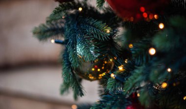 Noel arkaplanda köknar dalları ve Noel baloları var. Bulanık arka planda dekore edilmiş Noel ağacı.