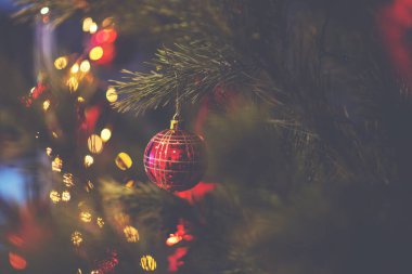 Ladin, olay, dekor, noel ağacı, top, sezon, doğa, dal, koni, bayram, kış, ağaç, köknar, yeni yıl, çam, bayram, dekorasyon, yıl, aralık, noel, ortaya çıkan, dekoratif, xmas, noel, mutlu, noel zamanı, hiç kimse, bitkiler, açık hava, açgözlülük