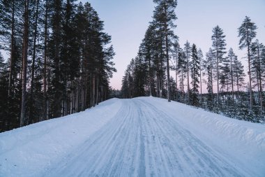 Güzel doğal çevre, beyaz kuzey istikameti, seyahat yolu, kış mevsimi ormanı manzaralı, karlı ve buzlu. Kışın ağaçların arasındaki ormanda gün batımı.