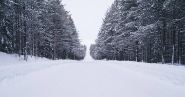 Ulusal park Riisitunturi, Laponya 'daki yüksek ağaçların arasındaki donmuş karlı yol. Günbatımında, kış mevsiminde ünlü doğal manzara. Seçici odak.