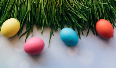 Paskalya yumurtaları ve bahar otları ile paskalya arkaplanı. Taze yeşil çimlerde sıralanmış paskalya yumurtaları..