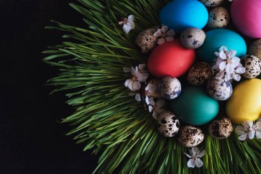 Paskalya yumurtaları ve bahar otları ile paskalya arkaplanı. Taze yeşil çimenlikteki paskalya yumurtaları. Çayırda renkli yumurtalar.