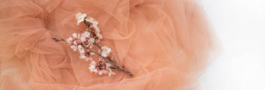 Kiraz çiçeği dalı ve kumaşlı klasik bahar arkaplanı. Pastel renkler. Kopyalama alanı olan üst görünüm.