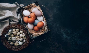Yuvasında Paskalya yumurtaları ve kırsal ahşap arka planda paskalya yumurtaları ve bahar dallarıyla birlikte paskalya yumurtaları olan klasik demir kutu..