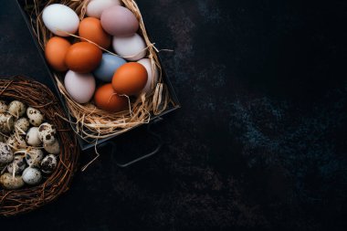 Yuvasında Paskalya yumurtaları ve kırsal ahşap arka planda paskalya yumurtaları ve bahar dallarıyla birlikte paskalya yumurtaları olan klasik demir kutu..