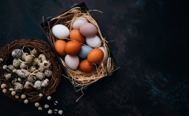 Yuvasında Paskalya yumurtaları ve kırsal ahşap arka planda paskalya yumurtaları ve bahar dallarıyla birlikte paskalya yumurtaları olan klasik demir kutu..