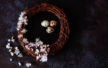 Paskalya yumurtaları ve bahar çiçekleriyle paskalya arkaplanı. Koyu renkli ahşap arka planda yuvadaki yumurtalar.