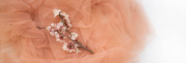 Kiraz çiçeği dalı ve kumaşlı klasik bahar arkaplanı. Pastel renkler. Kopyalama alanı olan üst görünüm.