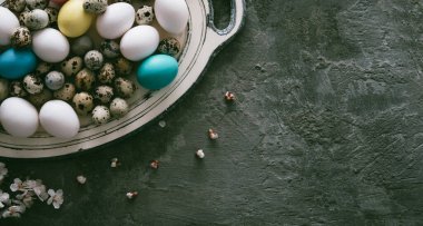 Renkli Paskalya yumurtaları ve gri arka planda bahar dalıyla eski püskü tepsiler. Kopyalama alanı olan üst görünüm.