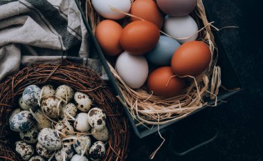 Paskalya yumurtaları gri arka planda yuvada. Paskalya arkaplanı, yumurta ve bahar çiçekleri. Kopyalama alanı olan üst görünüm.