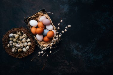 Yuvasında Paskalya yumurtaları ve kırsal ahşap arka planda paskalya yumurtaları ve bahar dallarıyla birlikte paskalya yumurtaları olan klasik demir kutu..