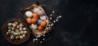 Yuvasında Paskalya yumurtaları ve kırsal ahşap arka planda paskalya yumurtaları ve bahar dallarıyla birlikte paskalya yumurtaları olan klasik demir kutu..