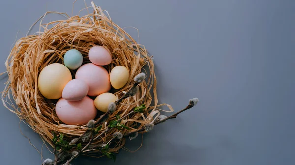 Huevos Pascua Nido Sobre Fondo Gris Fondo Pascua Con Huevos — Foto de Stock