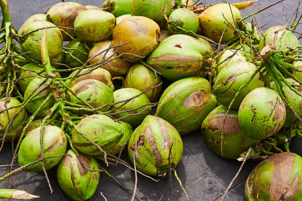 新鮮な緑の黄色のココナッツクラスター生産の準備ができています ココナッツファーム ココナッツファーム上の油とパルプの生産のための熟したソートされたココナッツの大きな山 — ストック写真