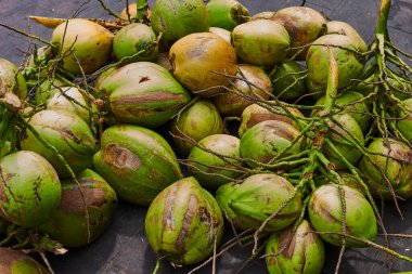 Taze yeşil sarımsı hindistan cevizi kümesi üretime hazır. Hindistan cevizi çiftliği. Hindistan cevizi çiftliğinde yağ ve posa üretimi için ayrılmış büyük olgun hindistan cevizi yığınları..