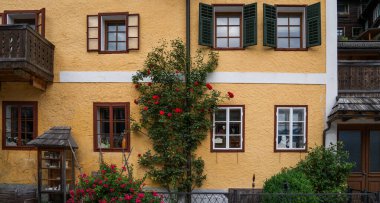 Yellow stucco house in Hallstatt, Austria with green shutters, wooden balcony, and blooming red climbing roses around the windows, surrounded by ornamental shrubs and decorative garden items in summer