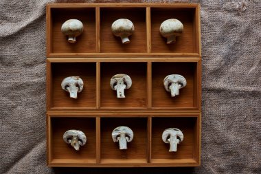 There are mushrooms in a wooden form