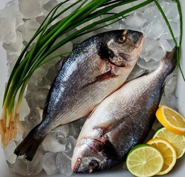 Peixe fresco está em um recipiente com gelo — Fotografia de Stock