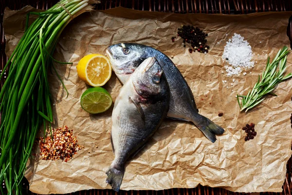 Pescado fresco sobre la mesa — Foto de Stock