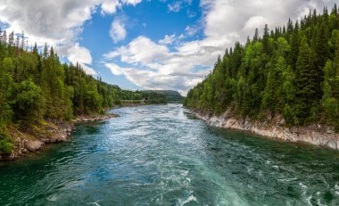 Yazın Norveç 'te mavi gökyüzünün altında dik kıyılarda bulunan Tayga ormanları arasında geniş bir nehrin ön panoraması. Uzun yeşil ağaçlarla karışık orman.