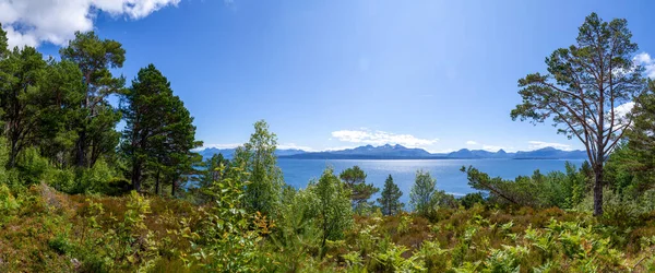 Green Forest Edge Surrounded Tall Trees Shore Huge Lake Mountain — ストック写真