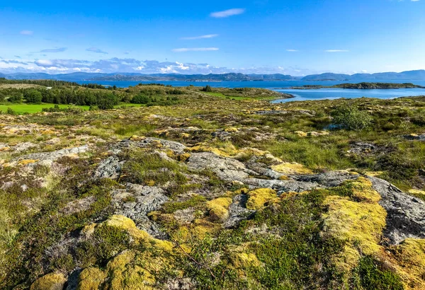 Coastal Landscape Island Leka Green Grass Orange Moss Lichen Large — ストック写真