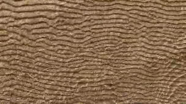 Bewegte Wellen über Sandstrukturmuster im flachen Wasser. Klamauk — Stockvideo