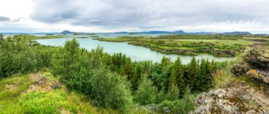 Nehir kenarındaki tepelerde nehir vadisinde panoramik manzaralı bir orman. İzlanda.