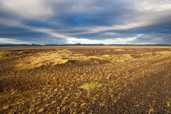 Herfst gouden droge steen en gras land richting berg aan de horizon in IJsland — Stockfoto