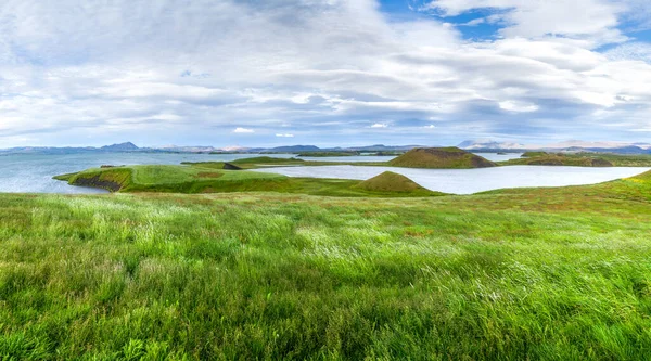 Skutustadir yakınlarındaki kraterlerin yakınlarındaki yeşil çayır sulak arazi. Myvatn Gölü.