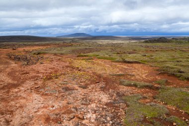 İzlanda 'da Landmannalaugar yosunu ve turuncu lav manzarası Hveravellir. 