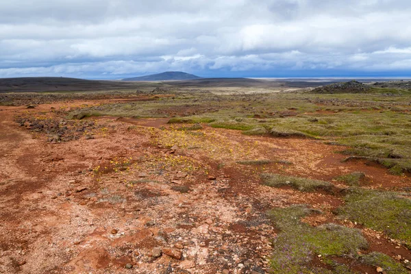 Ландманналаугар мох і оранжевий лавовий ландшафт в Ісландії Hveravellir. — стокове фото