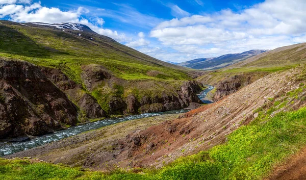 夏のアイスランド緑の芝生の岩の海岸の間で巻き川の景色. — ストック写真