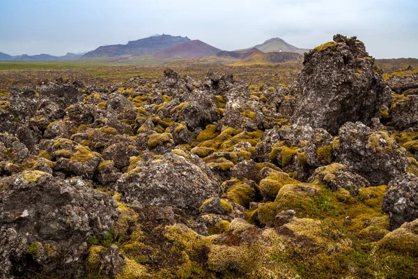 冰岛熔岩景观与橙色苔藓和古老的火山山在地平线上 — 图库照片
