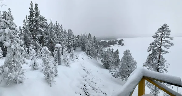 Panorama de bosque cubierto de heladas y nieve sobre lago congelado en Karelia —  Fotos de Stock