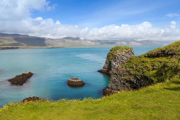 Letni krajobraz na zielonym wybrzeżu skalnym nad turkusowym oceanem, Islandia — Zdjęcie stockowe