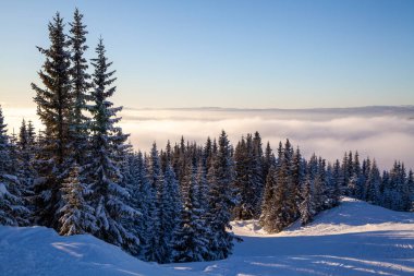 Donmuş karla kaplı orman ve mavi gökyüzü ve Kvitfjell Kayak Merkezi 'ndeki bulutlar