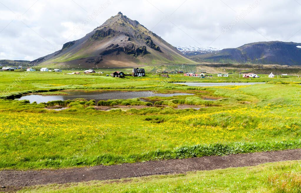 Summer view with flowering grasses of Icelandic meadows with mountains in clouds