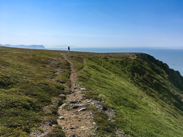 Silhouette de voyageuse sur le bord de la falaise contre le ciel au bout du sentier. Norvège — Photo