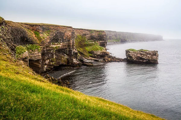 Vogels markt groen grasland rots kliffen op IJsland wilde oceaan kust panorama — Stockfoto