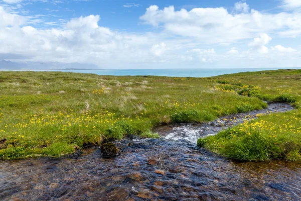 Zomer achtergrond met koude stroom tussen bloeiende grassen van IJslandse weiden — Stockfoto