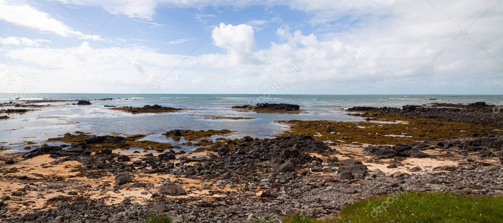 Wide summer panorama of the Icelandic shore with sandy beach, lava stones.