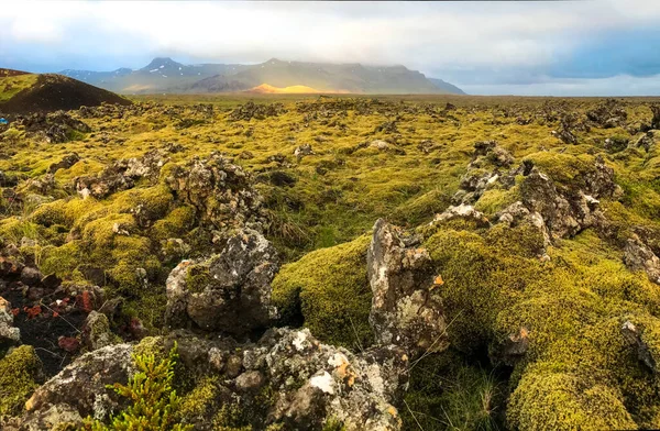 Lava Izland sziklák táj narancs moha és a régi vulkán hegy horizonton — Stock Fotó