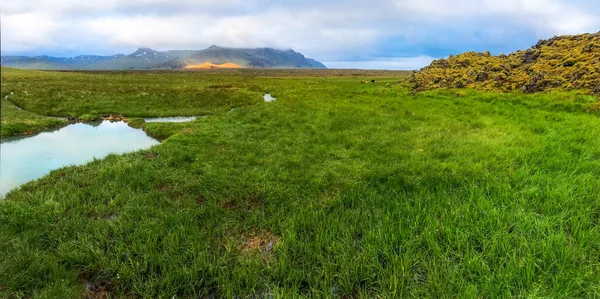 Varma geotermiska källor bland gröna mossa mot bakgrund av gula berg — Stockfoto