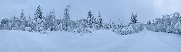 Panorama frío de invierno de carretera cubierta de nieve en bosque congelado del Círculo Polar Ártico —  Fotos de Stock