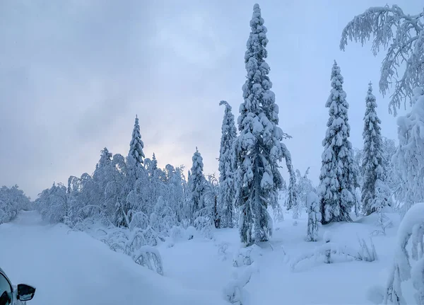 Kilátás gépkocsiról hófödte úton és fagyott tűlevelű erdőkben az Északi-sarkkörön — Stock Fotó